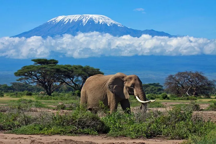 Tanzania’s Travel Industry Bounces Back with Doubling of Receipts and Tourist Arrivals in 2022