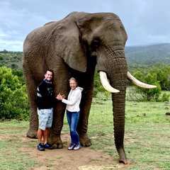 Barefoot Addo Elephant Lodge Partners with GIATA for Optimal Content Distribution